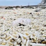 レス2番の画像1