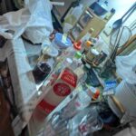 レス2番の画像6