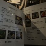 レス2番の画像1