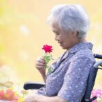 レス73番のリンク先のサムネイル画像