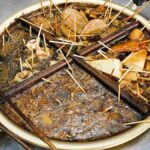 レス2番の画像2