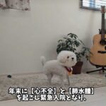 レス1番の画像1