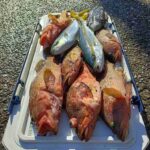 レス33番の画像1