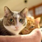 レス22番の画像2