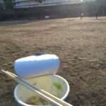 レス7番の画像1