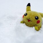 レス39番の画像1