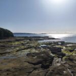 レス4番の画像1