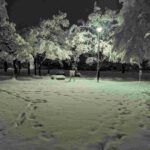 レス27番の画像3