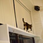 レス29番の画像4