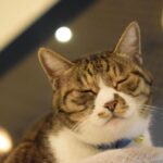 レス30番の画像3