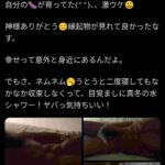 レス67番の画像1