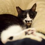 レス30番の画像1