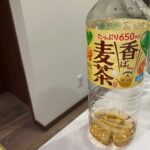 レス13番の画像1