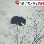 レス1番のリンク先のサムネイル画像