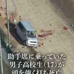 レス1番の画像2