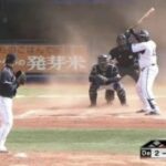 レス16番の画像1