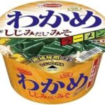 レス19番の画像1