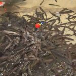 レス2番の画像2