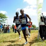 レス14番のリンク先のサムネイル画像