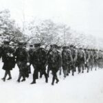 レス54番の画像2