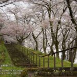 レス25番の画像13