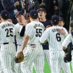 レス2番のリンク先のサムネイル画像