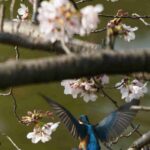 レス25番の画像1