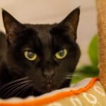 レス16番の画像1