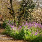 レス25番の画像9