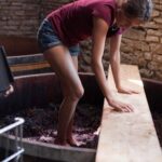 レス5番の画像1