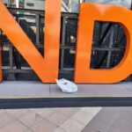 レス4番の画像7