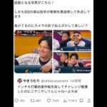 レス11番の画像1