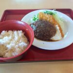 レス17番の画像1