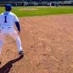 レス7番のリンク先のサムネイル画像