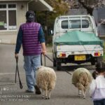 レス25番の画像6