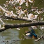 レス25番の画像3