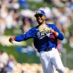 レス2番のリンク先のサムネイル画像