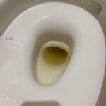 レス25番のリンク先のサムネイル画像