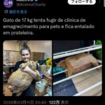 レス140番の画像1