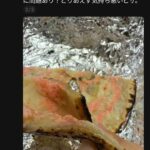 レス1番の画像4