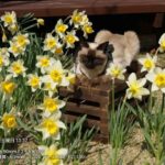 レス25番の画像8