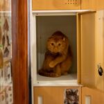 レス10番の画像1