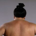 レス46番のリンク先のサムネイル画像