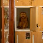 レス10番の画像2