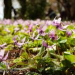 レス25番の画像16