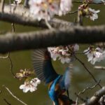 レス25番の画像2