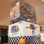 レス12番の画像1