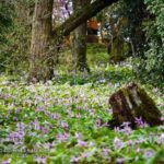 レス25番の画像15