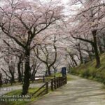 レス25番の画像12