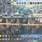 レス43番の画像1